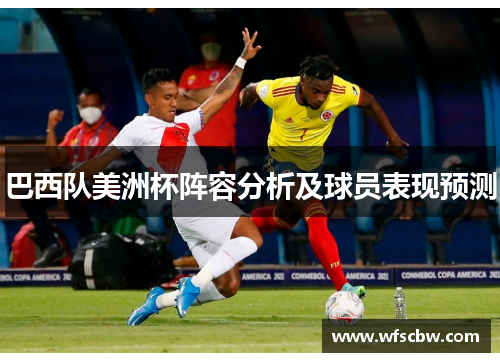 巴西队美洲杯阵容分析及球员表现预测