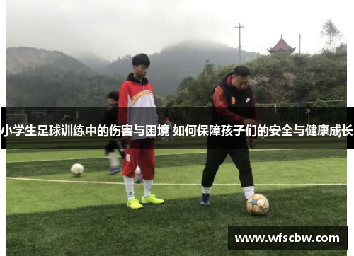 小学生足球训练中的伤害与困境 如何保障孩子们的安全与健康成长