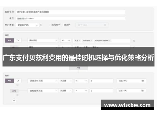 广东支付贝兹利费用的最佳时机选择与优化策略分析