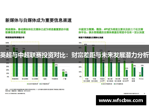英超与中超联赛投资对比：财富差距与未来发展潜力分析